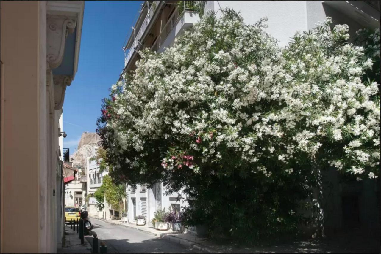 Back To Tradition, By The Acropolis! Athen Eksteriør billede